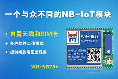 有人做了一个与众不同的NB-IoT模块
